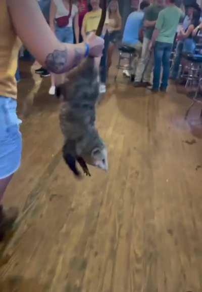 E*ropean minds cannot comprehend American drinking establishments