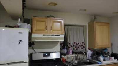 Apes after CNBC confirms Naked Shorts on live TV. 😂