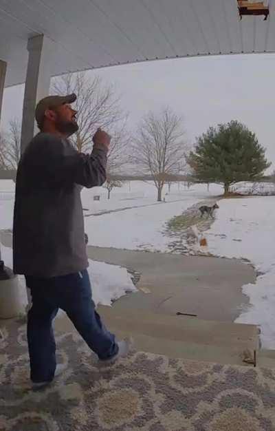 No post can hold doggo