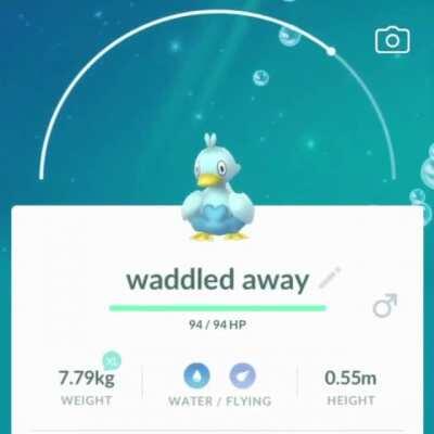 What do you do with 238 Ducklett? This of course!