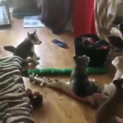Mama teaching her pups the song of their people