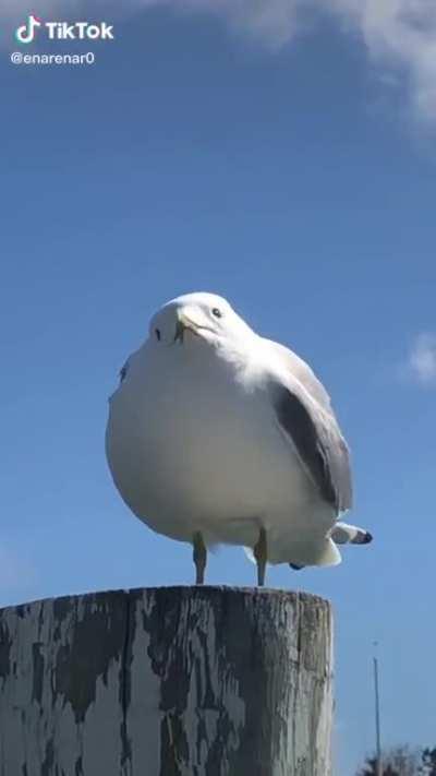 AAAAAAAAAAAAAAAAAAAA