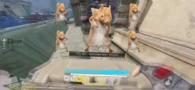 I paid someone on Fiver 20$ for this edit, he sent me this and blocked me, what should i do?