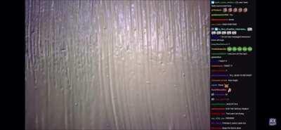 Did Daniel predict 2020 6 days into the year?