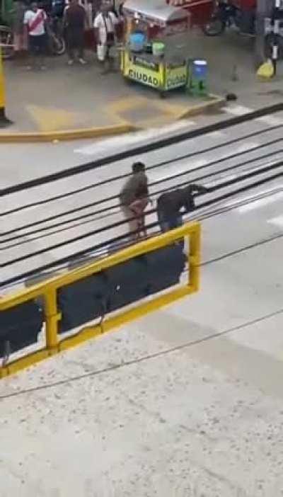 Choices. Bad, bad choices.