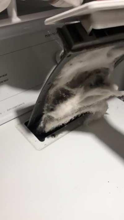 My Kings, here is further proof that rentoids are intellectually deficient.