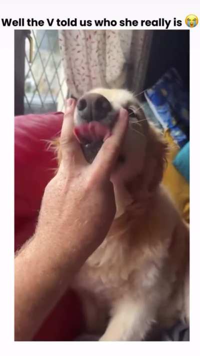 I’m in Love with This Dog 😍- Are you?