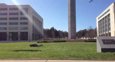 To take a photo in Canberra