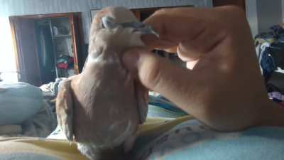 Can't tell if she enjoys it or...