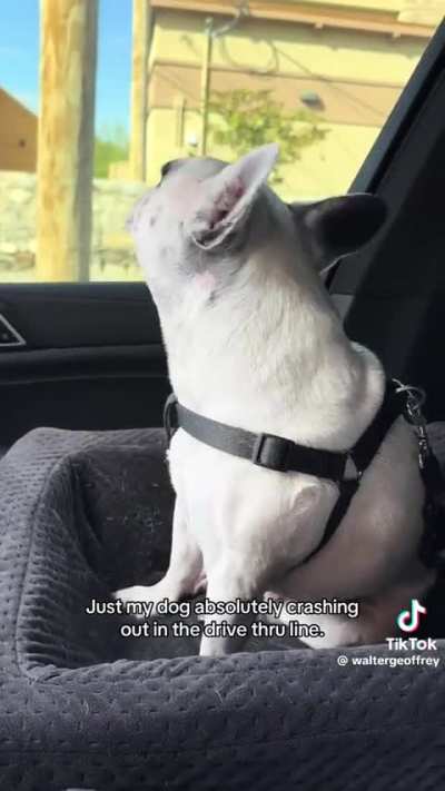 i wouldn't last 10 minutes with this beast