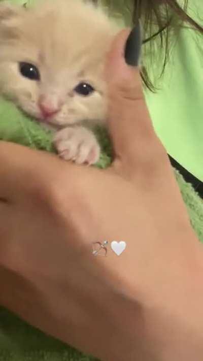 Always hungry squeaky boy