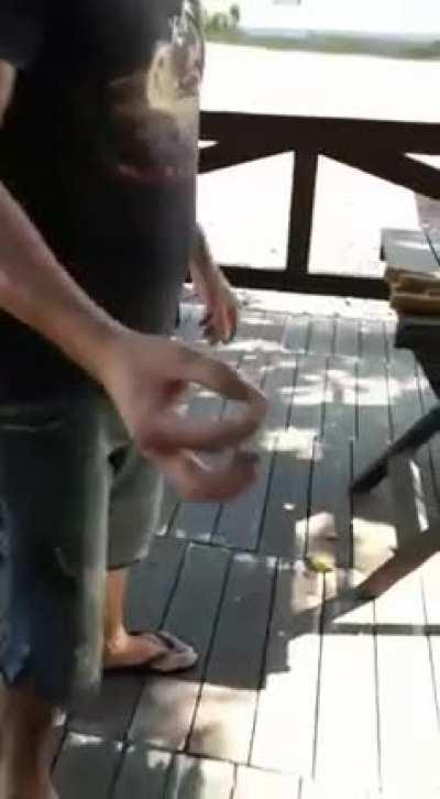 When healthcare is too expensive