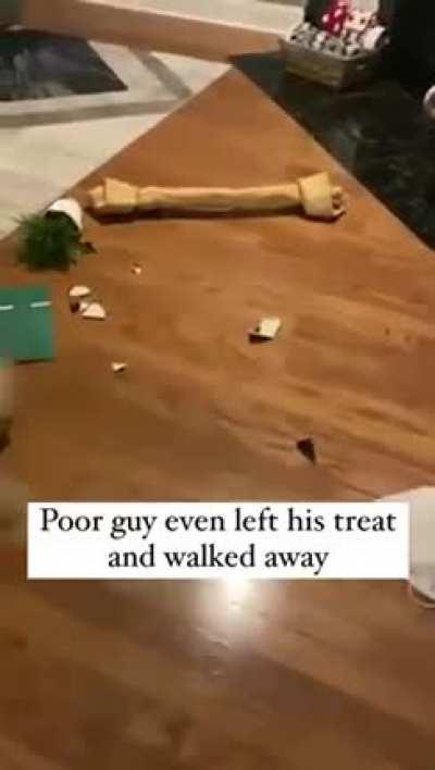 “I was never here”