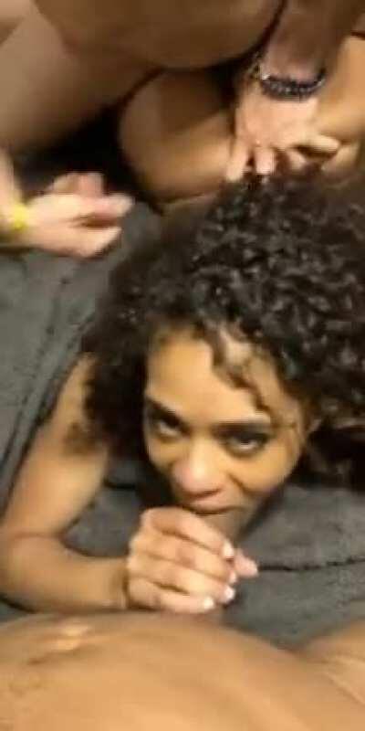 Scarlit Scandal Properly Roasted