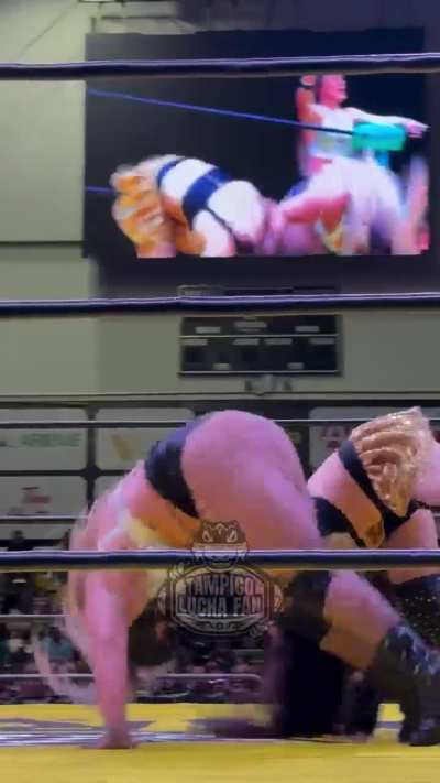 New footage from a different angle La hiedra in her match last year in Monterrey 9/29/24 Mashup. Credit tampicoluchafan