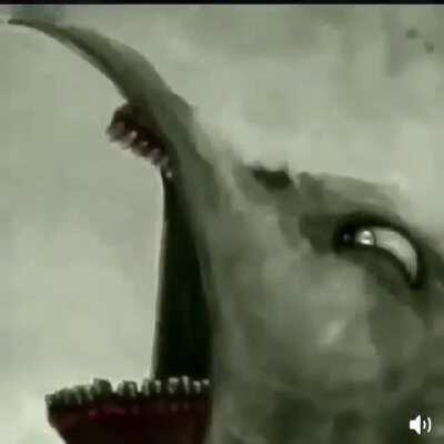 The raven has been punished