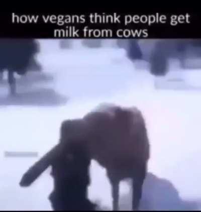 😃🤜🐮