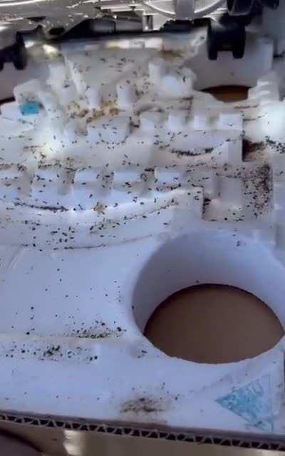 Brand new AC unit from Costco came infested with ants