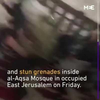 Bella Hadid censored by Instagram for posting about Palestine