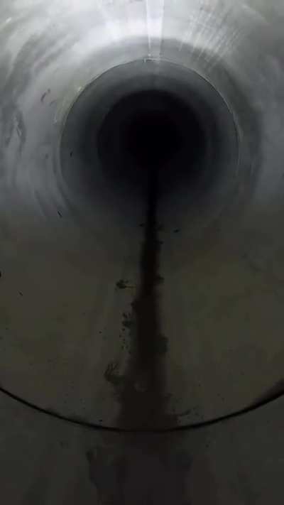 It was totally worth it!