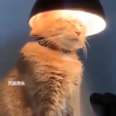 You wouldn’t understand a higher being like me