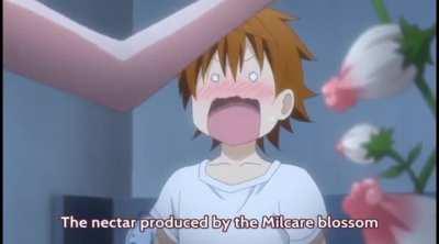 One of the horniest To LOVE-Ru scenes