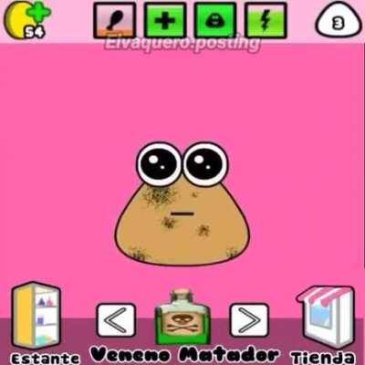 Pou