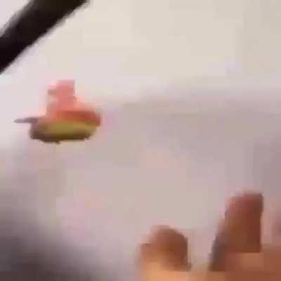 NOOOOO PATRICIO (rod si ves esto sos un gordovich uwu)