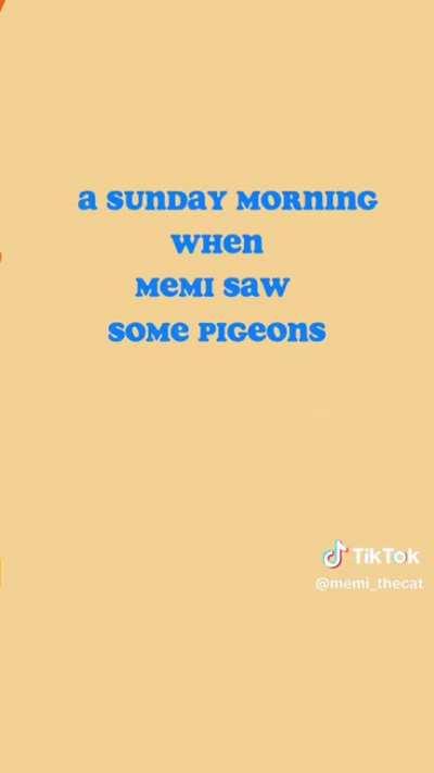 The only version of this trend I’m interested in