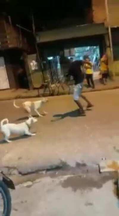 I can almost smell the cachaça