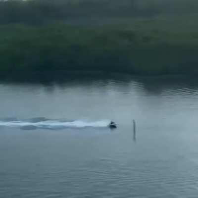 Florida Man arrested after leading FWC officers in jet ski chase