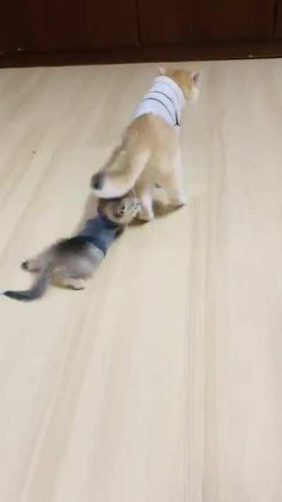 You’re Really A Drag