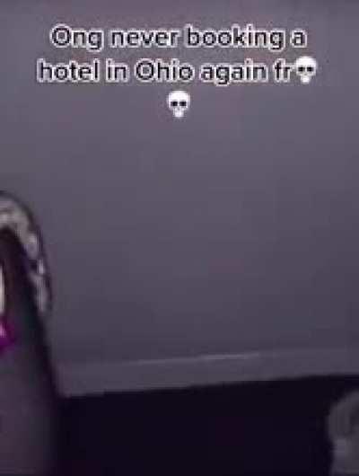 ihaveihaveihab wholesale 100