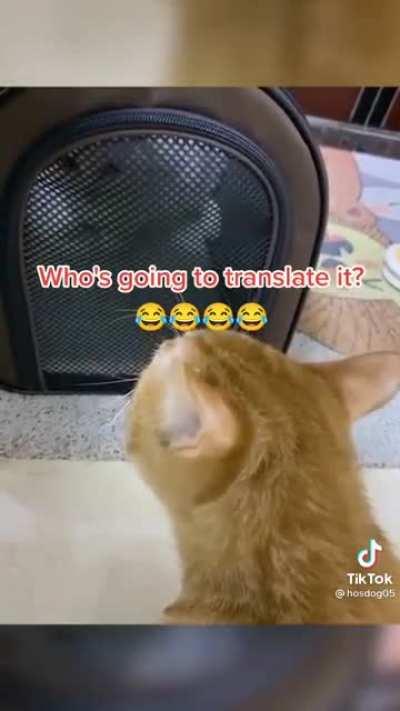 I really need to hear more of these