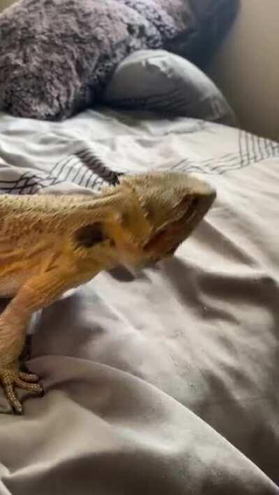 She loves the window