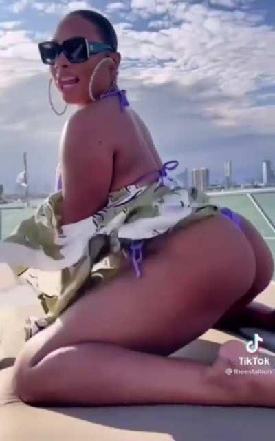 Megan Thee Stallion Tik Tok