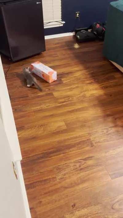 All that money spent on toys, and we could have just done this!