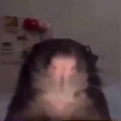 rats, rats, we're the rats. we prey at night, we stalk at night, we're the rats