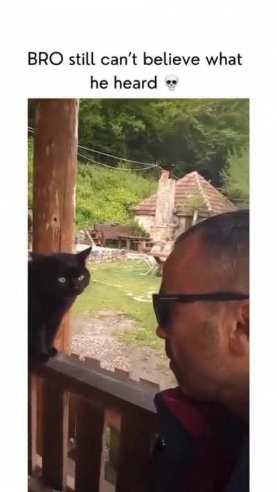 This dude sounding like a cat