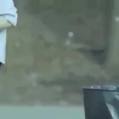 When Vegan teacher trust to 