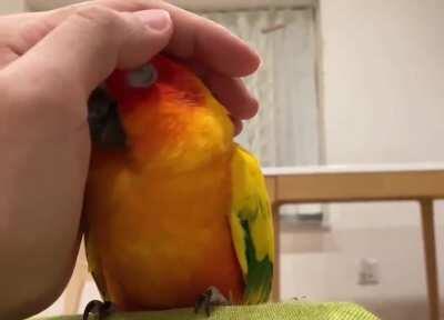 The magical moment he realizes the hand belongs to friend not foe