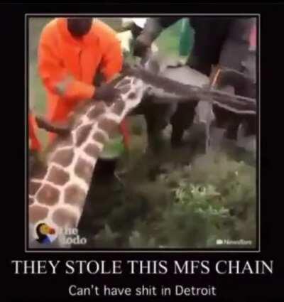 Can't have shit in Detroit