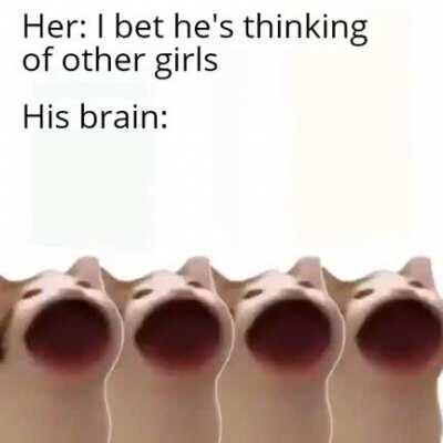 this sub in a nutshell