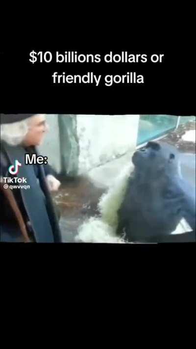 I need a monkey friend