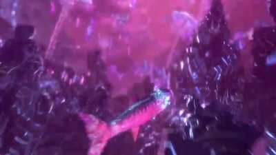 Xbox Controller Phantom Magenta Promotional Video.