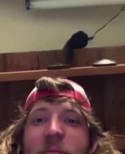 I threw this together in 5 minutes lol