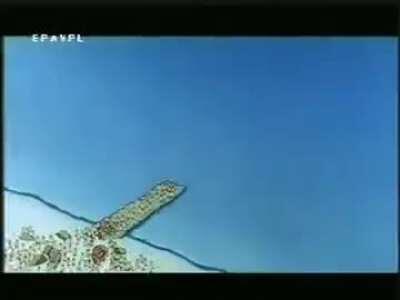 Shree Raghuvar ki vanar sena setu baandh rahi !!