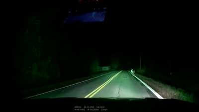 Met these Jaywalkers this morning