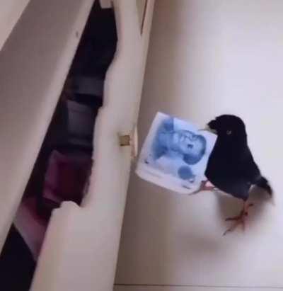 A verdadeira renda passiva