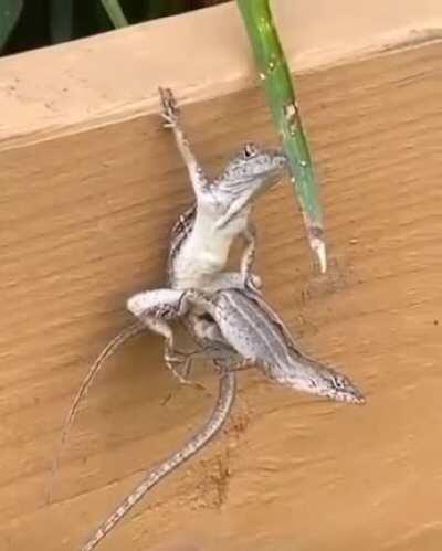 Когда все бабы от тебя реально без ума